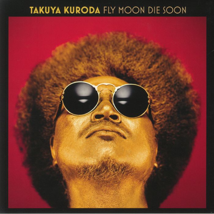 Fly Moon Die Soon - Vinyl LP vinyl record cover