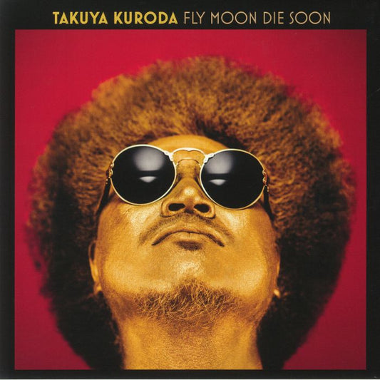 Fly Moon Die Soon - Vinyl LP vinyl record cover