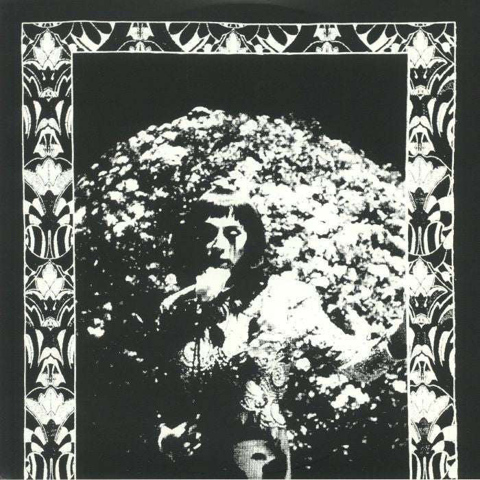 Model Express - Vinyl LP vinyl record cover