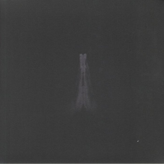 Untitled (Rise) - 2xLP vinyl record cover