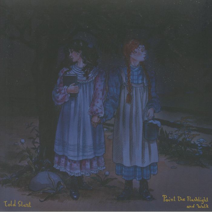 Point The Flashlight And Walk - Translucent Blue Vinyl LP vinyl record cover
