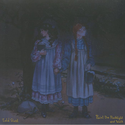 Point The Flashlight And Walk - Translucent Blue Vinyl LP vinyl record cover