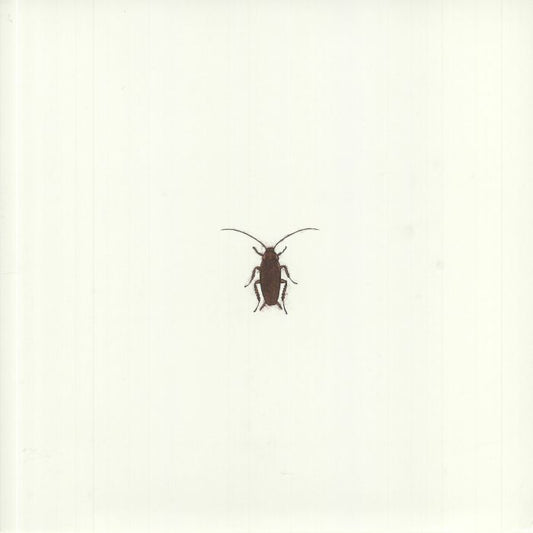 Hard To Destroy - Vinyl LP vinyl record cover