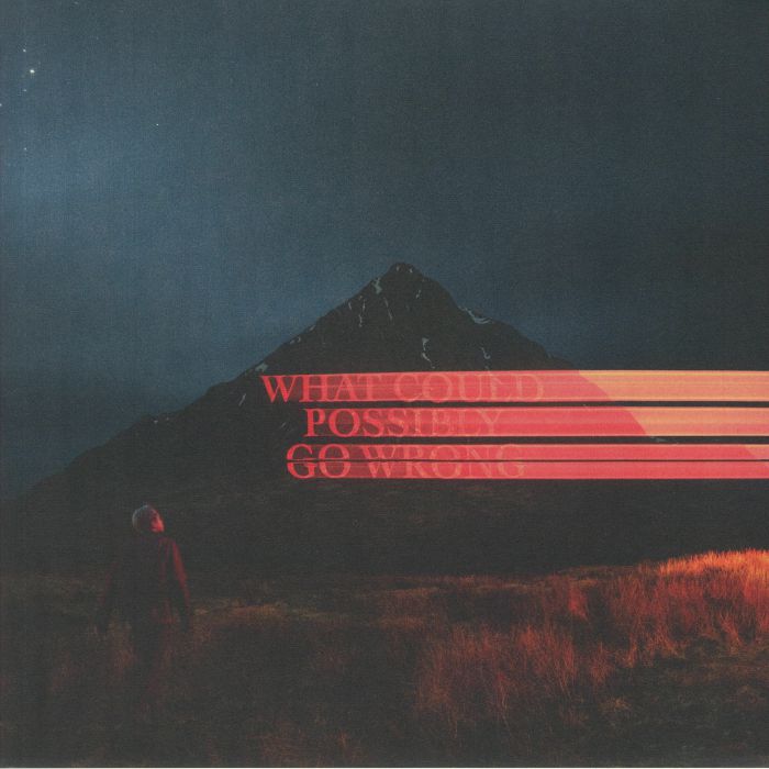 What Could Possibly Go Wrong - Vinyl LP vinyl record cover