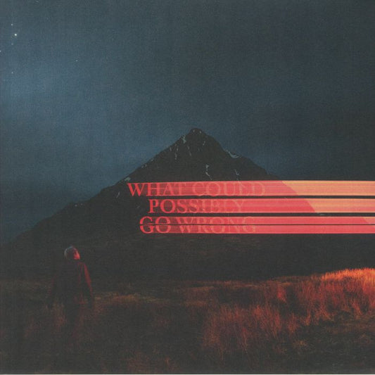 What Could Possibly Go Wrong - Vinyl LP vinyl record cover