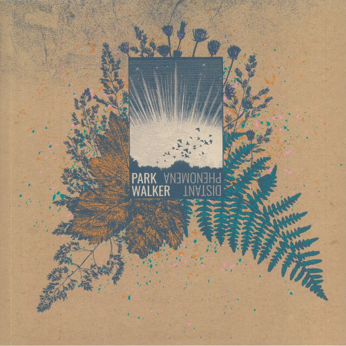 Distant Phenomena - Vinyl LP vinyl record cover