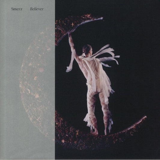 Believer - Vinyl LP vinyl record cover