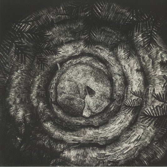 Forhist - Vinyl LP vinyl record cover