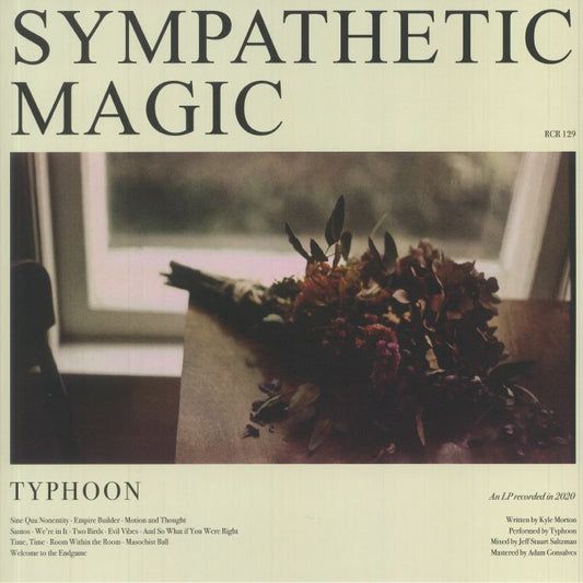 Sympathetic Magic - Vinyl LP vinyl record cover