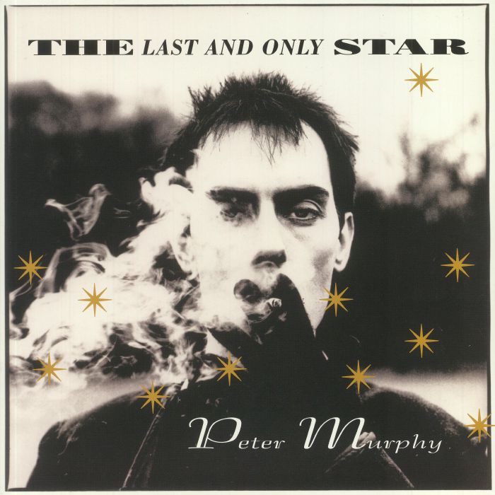 The Last & Only Star - Gold Vinyl LP vinyl record cover