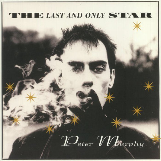 The Last & Only Star - Gold Vinyl LP vinyl record cover
