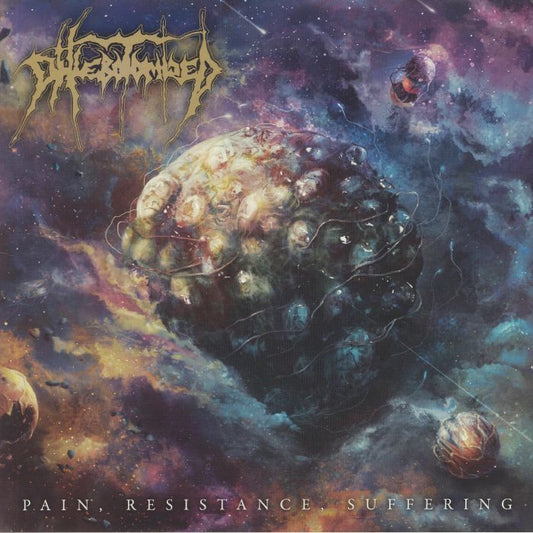 Pain, Resistance, Suffering - Vinyl EP vinyl record cover