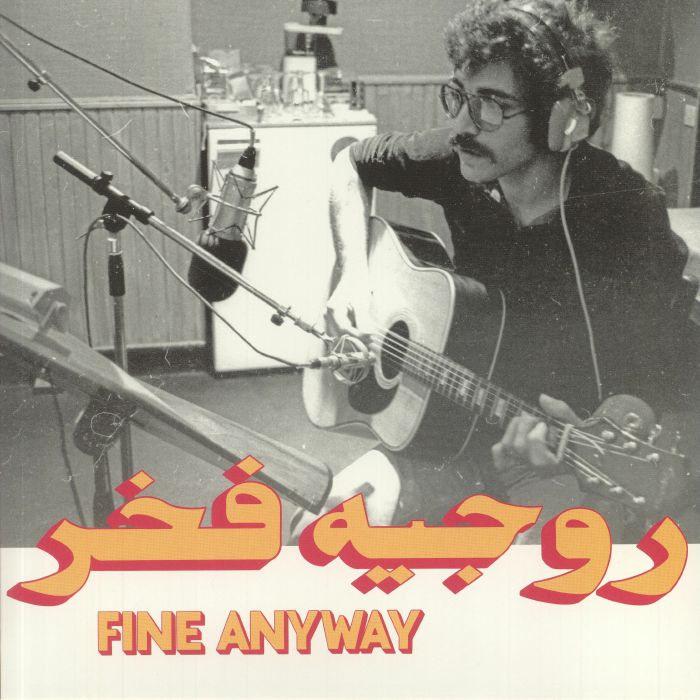 Fine Anyway - Vinyl LP vinyl record cover