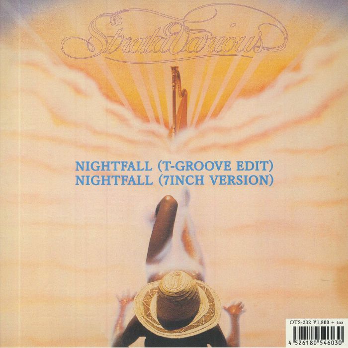 Nightfall - Vinyl Single vinyl record cover