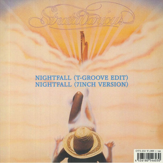 Nightfall - Vinyl Single vinyl record cover