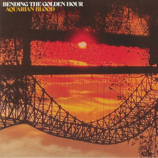Bending The Golden Hour - Vinyl LP vinyl record cover