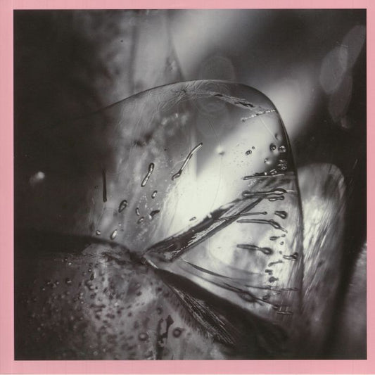 Clara - 2xLP vinyl record cover