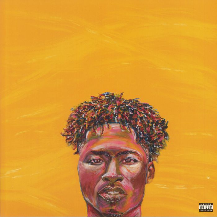 Painted - 2xLP vinyl record cover