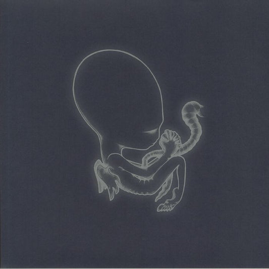 Agaetis Byrjun - 2xLP vinyl record cover