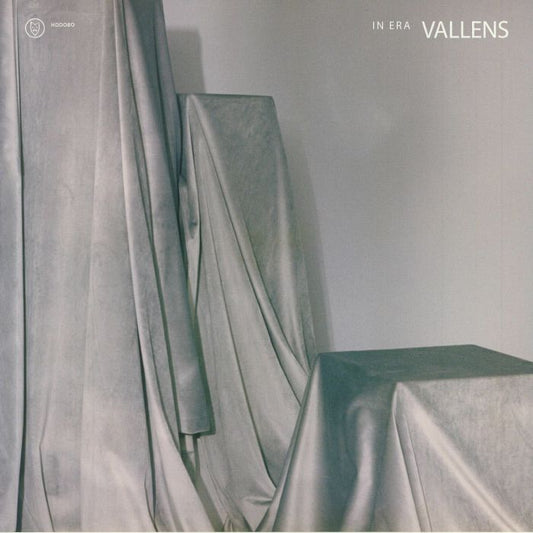 In Era - Silver Vinyl LP vinyl record cover