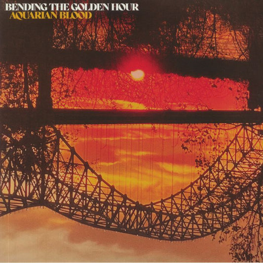 Bending The Golden Hour - Vinyl LP vinyl record cover