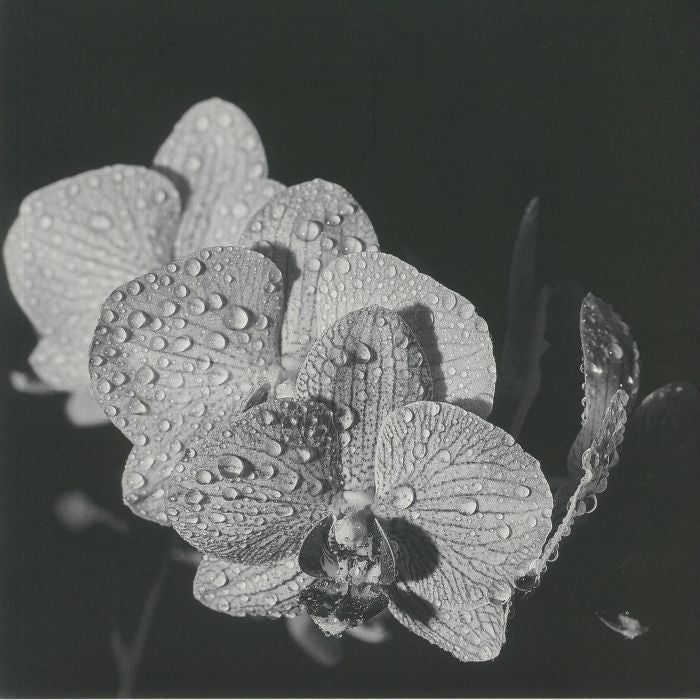Assorted Orchids - Limited Edition White Vinyl LP vinyl record cover