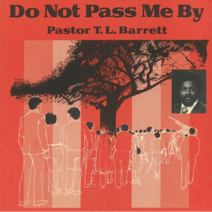 Do Not Pass Me By Vol I - Vinyl LP vinyl record cover
