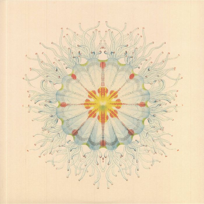 Little Things - Vinyl LP vinyl record cover