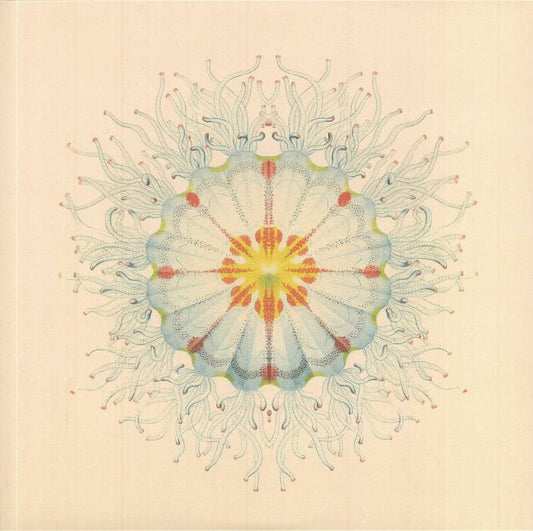 Little Things - Vinyl LP vinyl record cover