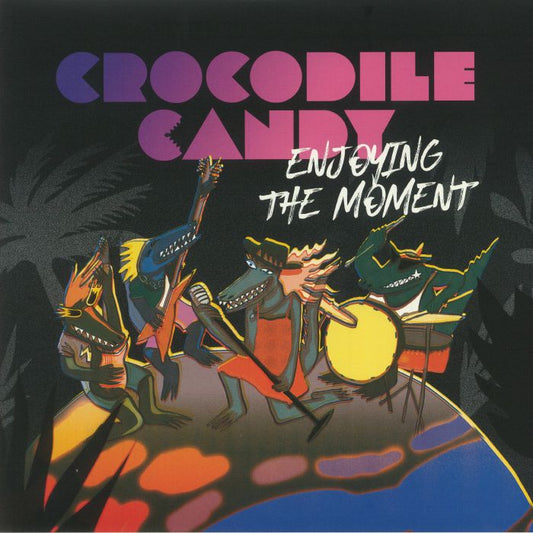 Enjoying The Moment - Vinyl LP vinyl record cover