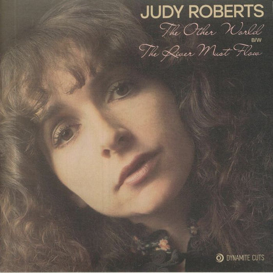 The Other World - Vinyl Single vinyl record cover