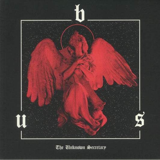 The Unknown Secretary - Limited Edition Split Coloured Vinyl LP vinyl record cover
