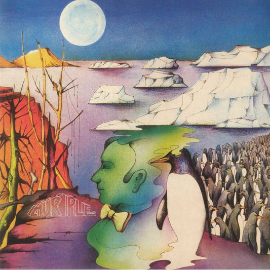 Io Sono Murple - Vinyl LP vinyl record cover