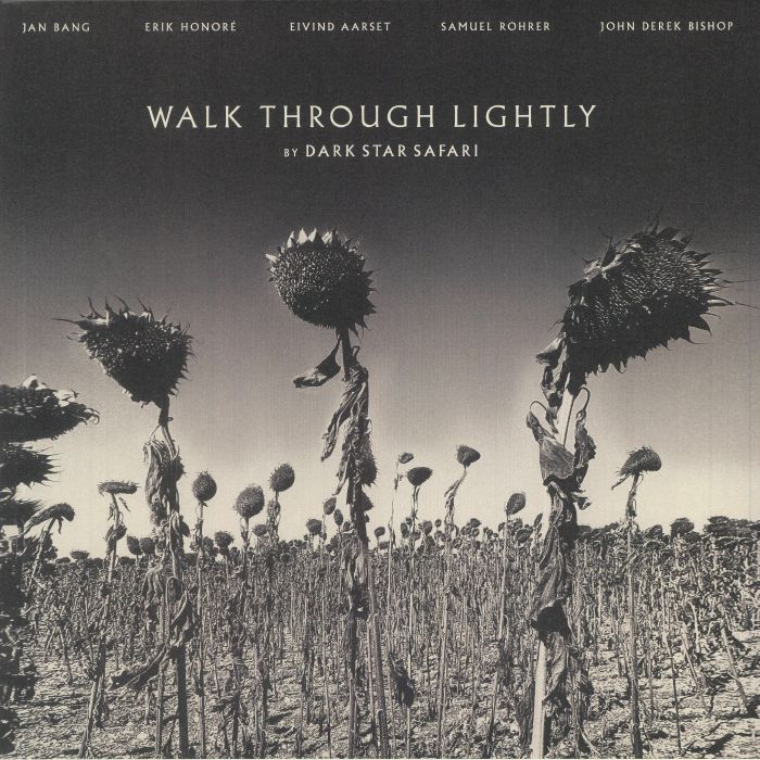 Walk Through Lightly - Vinyl LP vinyl record cover