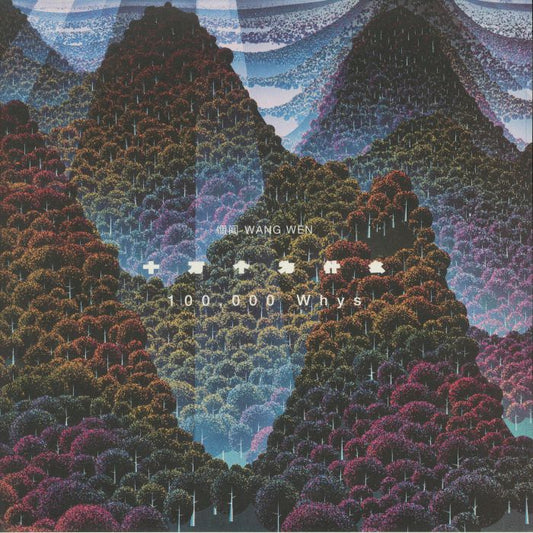 100000 Whys - 2xLP vinyl record cover