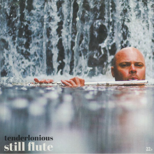Still Flute - Vinyl LP vinyl record cover