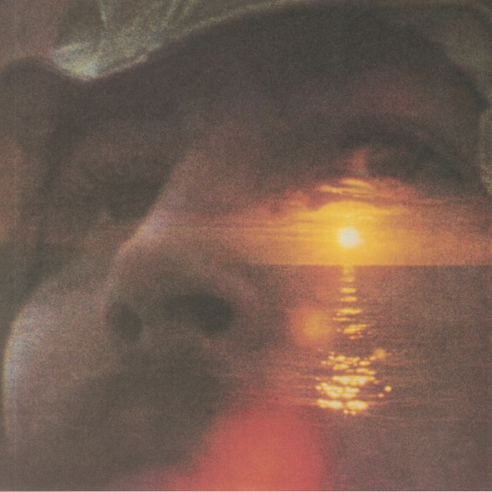 If I Could Only Remember My Name (50th Anniversary) - Vinyl LP vinyl record cover