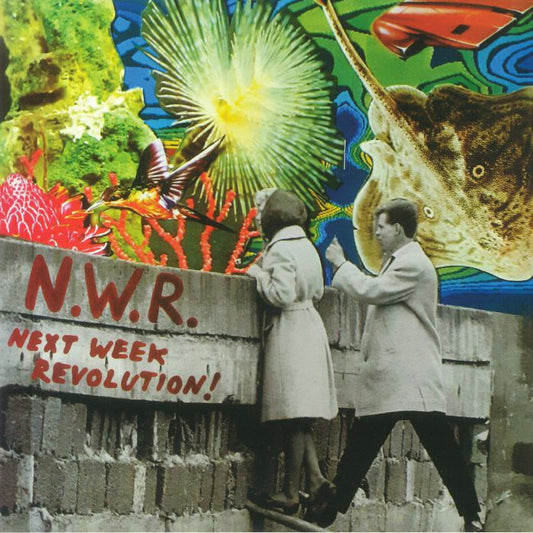 Next Week Revolution - Vinyl LP vinyl record cover