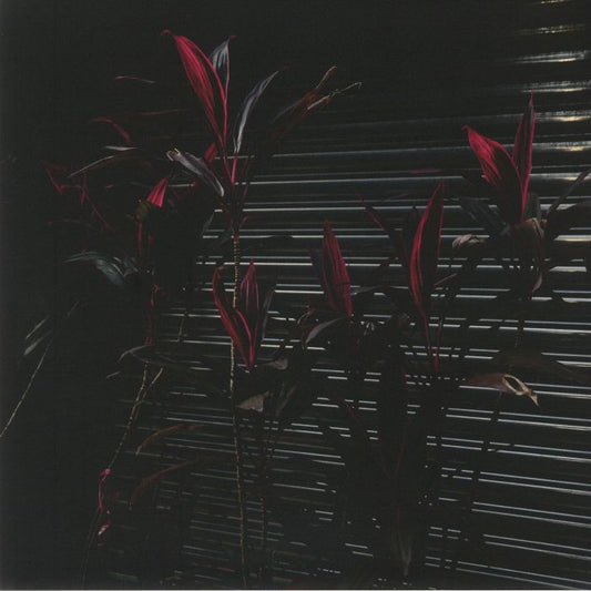 This New Heaven - Vinyl LP vinyl record cover