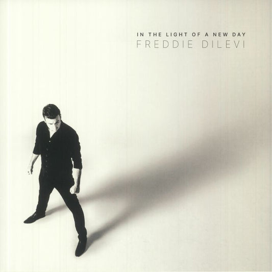 In The Light Of A New Day - Vinyl LP vinyl record cover