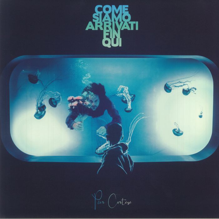 Come Siamo Arrivati Fin Qui - Vinyl LP vinyl record cover