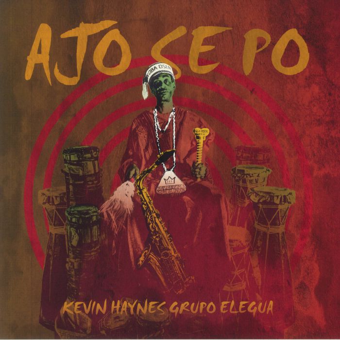 Ajo Se Po - Vinyl LP vinyl record cover