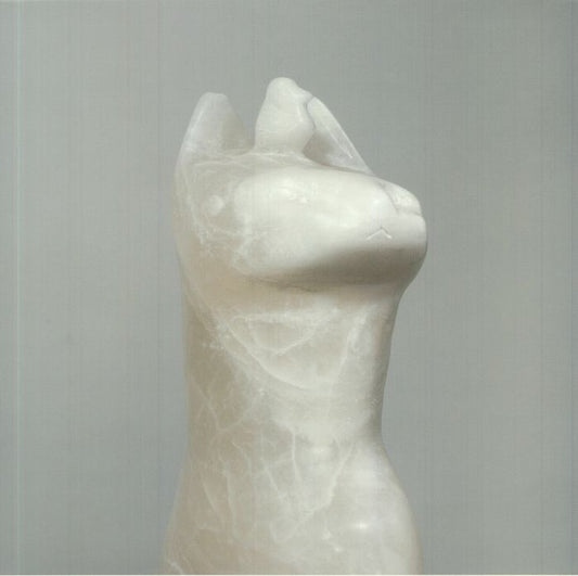 Cloud Holding - Vinyl LP vinyl record cover