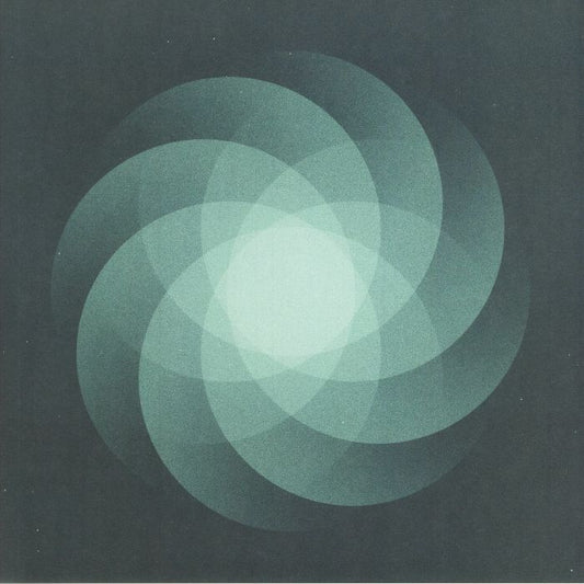 The Shape Of Everything - Vinyl LP vinyl record cover