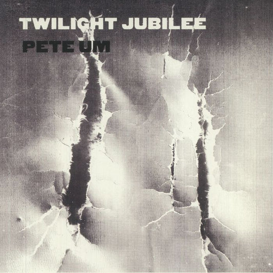 Twilight Jubilee - Vinyl LP vinyl record cover