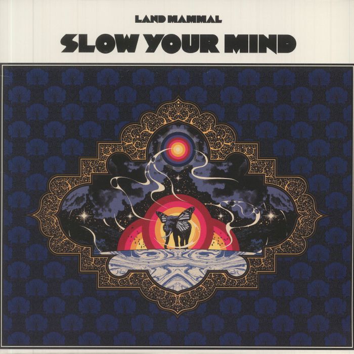 Slow Your Mind - Vinyl LP vinyl record cover