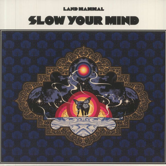 Slow Your Mind - Vinyl LP vinyl record cover