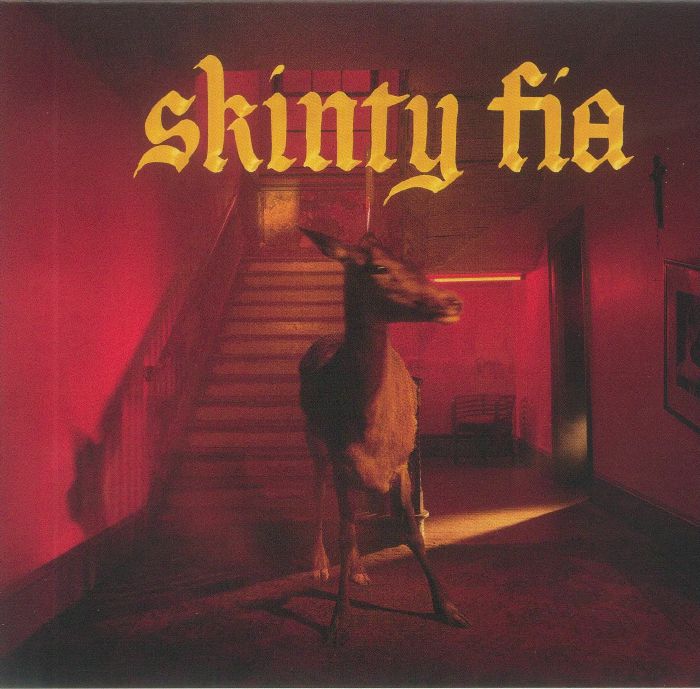 Skinty Fia - CD CD cover
