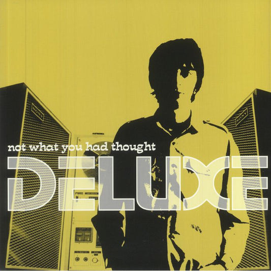 Not What You Had Thought - Limited Edition Silver Vinyl LP vinyl record cover