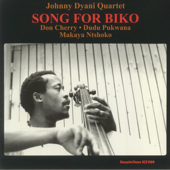 Song For Biko - Vinyl LP vinyl record cover